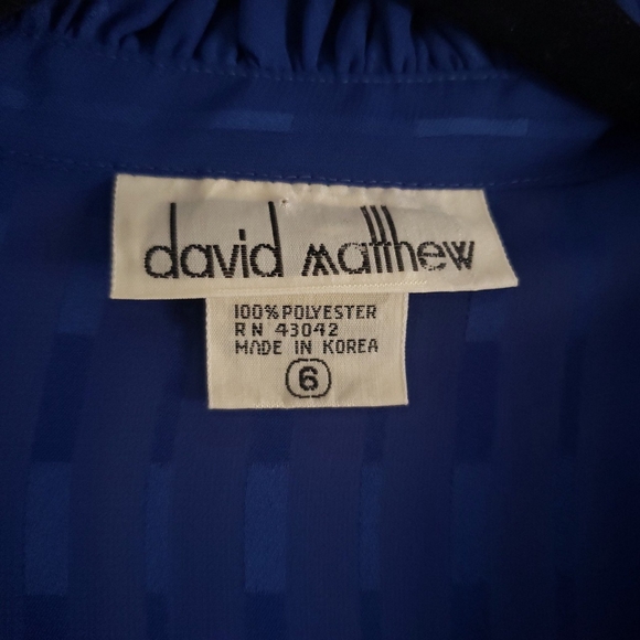 Vntg DAVID MATTHEW blue sheer striped blouse - Picture 4 of 4